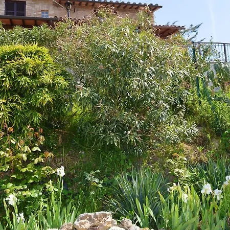 One Bedroom With Shared Pool Furnished Garden And Wifi At 토르지아노